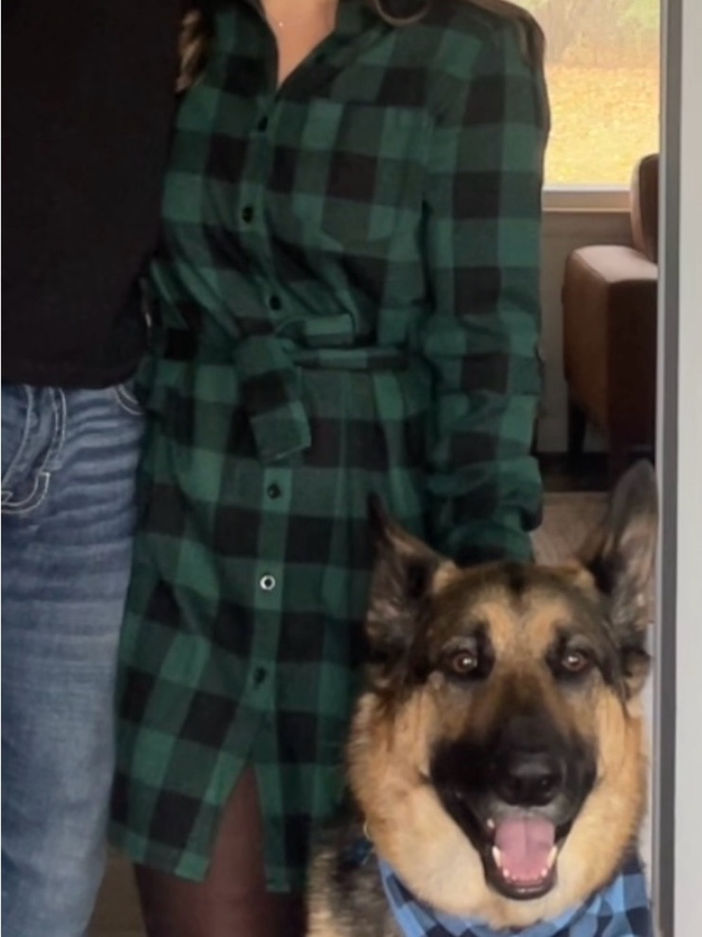 Pink Lily Green and Black Plaid Shirt Dress with Tie Waist